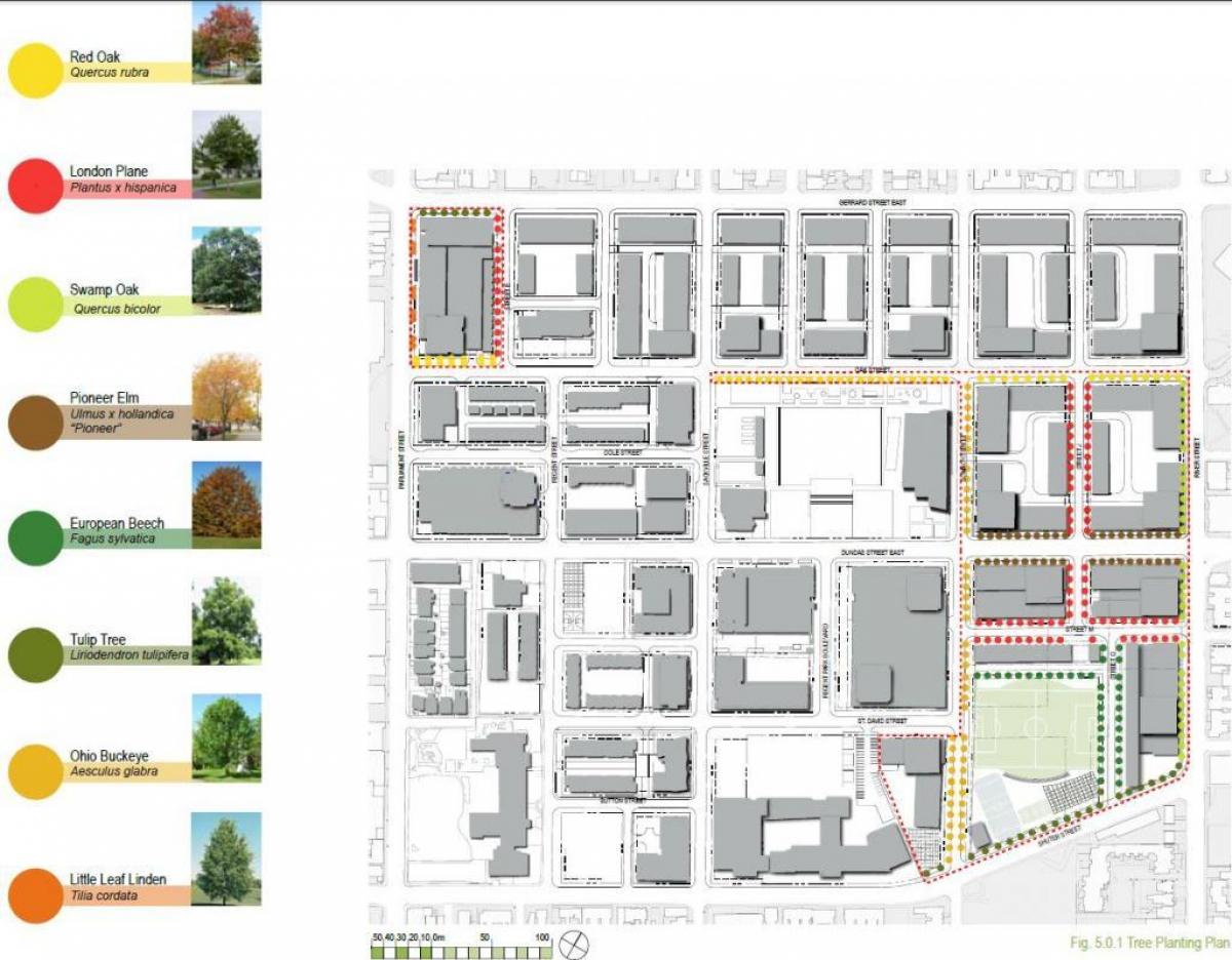 Kaart van de Revitalisering van plan Regent Park Toronto fase 3