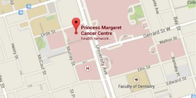 Kaart van Prinses Margaret Cancer Centre Toronto