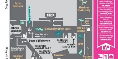Kaart van het Royal Ontario Museum niveau 2